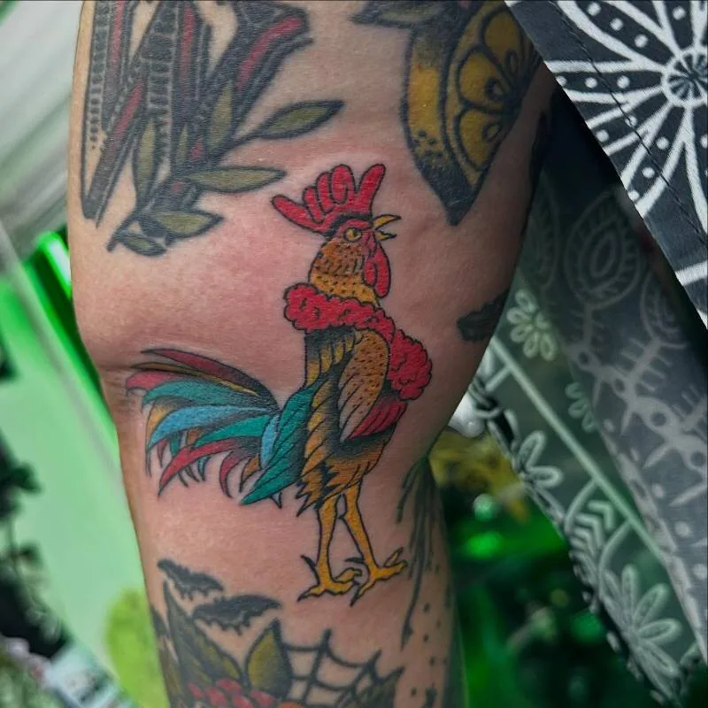 American Traditional color rooster tattoo standing tall with iridescent red, teal and ochre tail feathers on the upper arm, by Julian (xwildxlovex) at Ohana Tattoo, Waikiki, Hawaii.